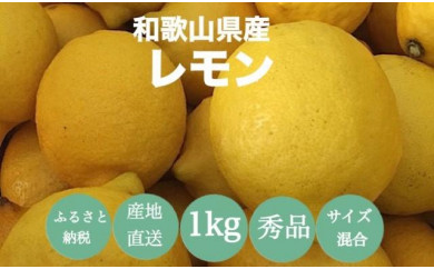 【和歌山県那智勝浦町】【産地直送】和歌山県産　レモン　1kg　サイズ混合