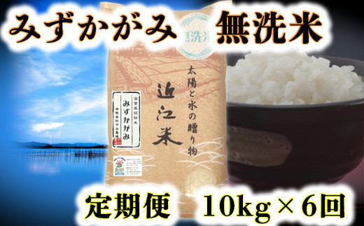 サンプル写真