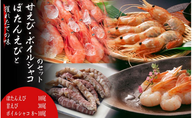 ー品販売 北海道余市町 カニ エビ 北海道余市町 獲れたての味 ぼたんえび10尾 ボイルシャコ8 10尾セット ふるさと納税 魚介類 海産物 Www Homerenovationwi Com ー品販売 北海道余市町 カニ エビ 北海道余市町 獲れたての味 ぼたんえび10尾 ボイルシャコ8 10尾セット ふるさと納税 魚介類 海産物 Www Homerenovationwi Com