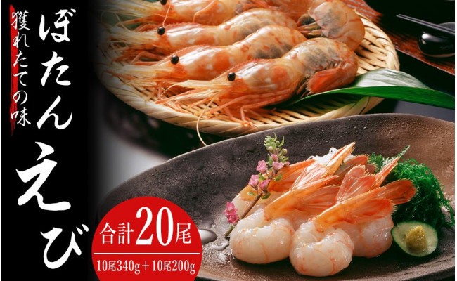 ー品販売 北海道余市町 カニ エビ 北海道余市町 獲れたての味 ぼたんえび10尾 ボイルシャコ8 10尾セット ふるさと納税 魚介類 海産物 Www Homerenovationwi Com ー品販売 北海道余市町 カニ エビ 北海道余市町 獲れたての味 ぼたんえび10尾 ボイルシャコ8 10尾セット ふるさと納税 魚介類 海産物 Www Homerenovationwi Com
