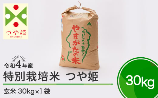 専門店 山形県産つや姫玄米３０キロ 新米 農家直送 おいしいお米