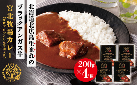 北海道北広島産 ブラックアンガス牛 宮北牧場カレー 800g（200g×4箱