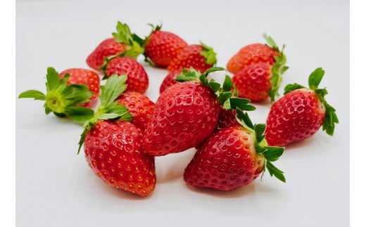 ytlXszƂƂ 4pbN {B / OΔ_ / ƂƂ  C`S n ̂