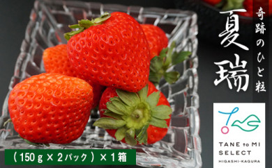 【北海道東神楽町】2022年分予約☆【夏イチゴ】奇跡のひと粒「夏瑞」2パックセット　