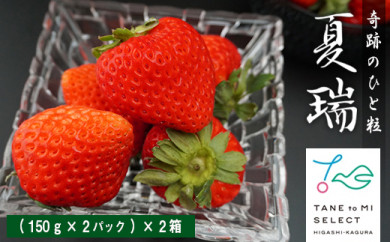 【北海道東神楽町】2022年分予約☆【夏イチゴ】奇跡のひと粒「夏瑞」4パックセット