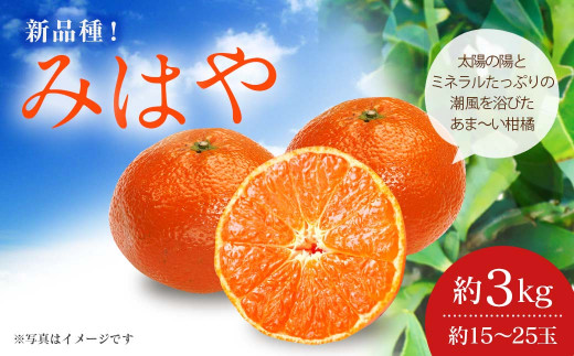 吉田レモニー あいかちゃん 180ml×3本 旨かっ 果汁100% 国産