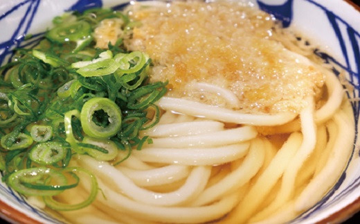 S186 境の手のばし麺 うどん 10人前×5箱 - 茨城県境町｜ふるさとチョイス - ふるさと納税サイト