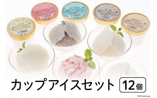 ykCszJbvACX12Zbg [␣q kC s 12260341] ACX C^A WF[g lߍ킹 r[Ly[