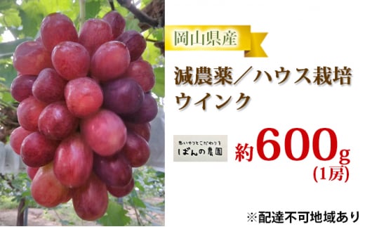 ぶどう 2024年 先行予約 ウインク 1房 約600g 減農薬／ハウス栽培