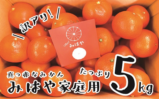 【訳あり】みはや 5kg 新品種 柑橘 先行受付 （14-66） - 宮崎県綾町