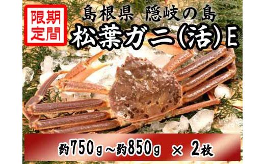 サンプル写真