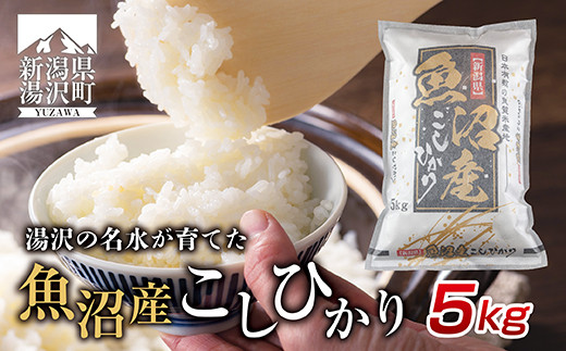 令和5年産 新潟県 湯沢町産 コシヒカリ お米 5kg 精米 魚沼 米 こしひかり 送料無料 炊き方ガイド付き【湯沢産コシヒカリ】