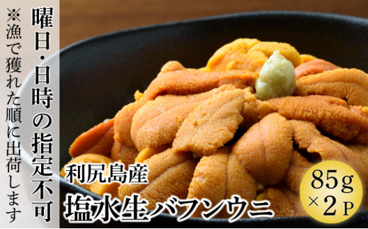 おトク ほら貝とウニ 置物