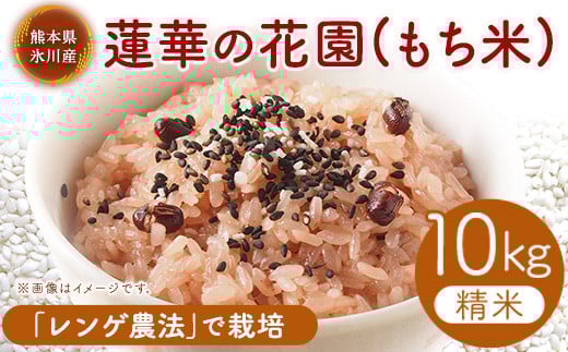 yF{X쒬z@؂̉ԉ() 10kg  JAJg[pg F{ X쒬s30ȓɏoח\(yj)t