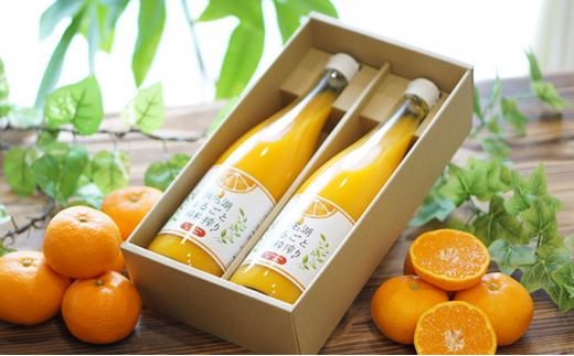 yÉlszO݂W[Xul΂܂邲Əv720ml 2{yÉ O ݂ W[Xz ʏ` ؈ tbV  [5786-4271]