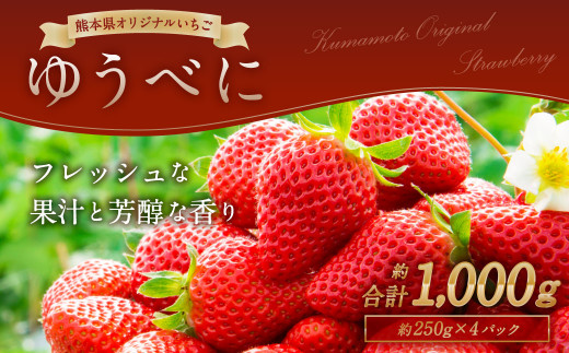 【熊本県熊本市】熊本産 ゆうべに 250g×4パック 計1kg いちご イチゴ 苺