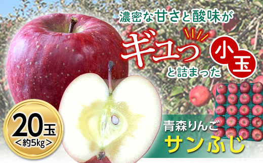 りんご出品 青森県産(JAつがる弘前) 蜜入りサンふじりんご(お届け期間：11/25〜12