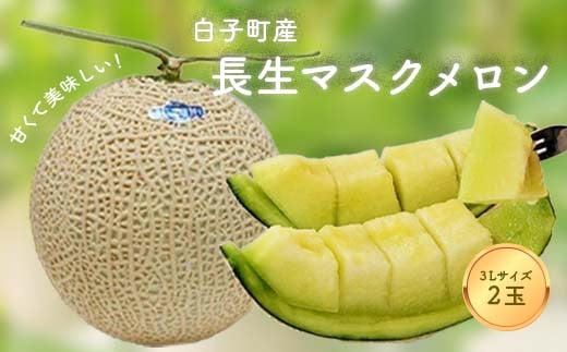 再募集/令和６年受付 / 数量限定】甘くて美味しい！長生マスクメロン２玉（３L） ふるさと納税 メロン マスクメロン 長生マスクメロン ながいき マスクメロン ２玉 令和６年発送 先行予約 産地 直送 果物 追熟 青肉 甘い デザート 美容 お見舞い 果物 手土産 送料無料 ...