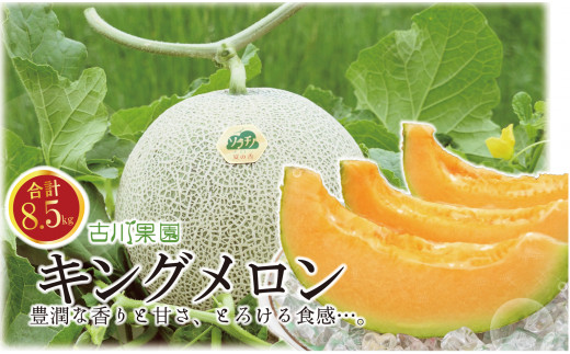 ykCIRzys\zLȍuIÏnLOvǂ8.5kg!!@YH023