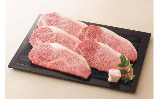 飛騨牛 サーロインステーキ サーロイン 肉 ×5枚（計850g） - 岐阜県美濃加茂市｜ふるさとチョイス - ふるさと納税サイト