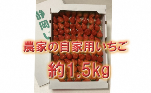 河津町産 こだわりいちご 紅ほっぺ 約280g×4パック 【いちご】特集