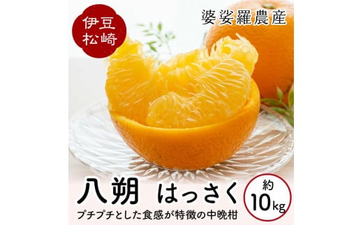 yÉ蒬zkO_Y  ͂ 10kg