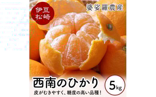 yÉ蒬zkO_Y ̂Ђ 5kg