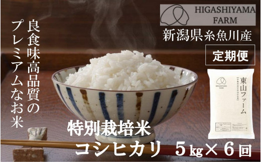サンプル写真