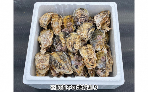 内田水産 瀬戸内 牛窓産 小サイズ殻付き 牡蠣 約3kg ※加熱調理用 岡山県 瀬戸内 牛窓産 [№5735-1128]