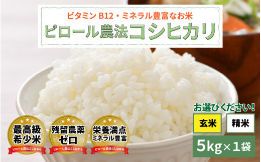 サイズ交換対象外 クメクメクラブさま専用令和4年産ピロール米