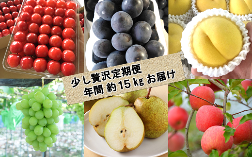 マンゴー さくらんぼの人気商品 通販 価格比較 価格 Com