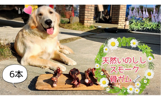 FB155 犬の無添加ごはん☆具だくさんカレー＆クリームシチュー