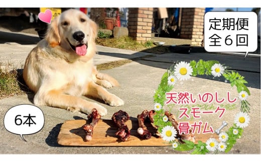 FB146 大型犬向け☆天然いのししのスモーク骨ガム6本【定期便】全