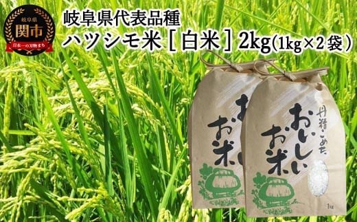 【岐阜県代表品種】令和6年産 ハツシモ米 【白米】2kg（1kg×2袋） S19 - 岐阜県関市｜ふるさとチョイス - ふるさと納税サイト