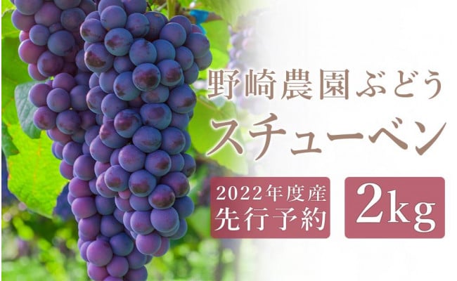 2022年度産先行予約】野崎農園産ぶどう ～スチューベン～ ２kg＜ふるさとクリエイト＞ - 北海道余市町｜ふるさとチョイス - ふるさと納税サイト