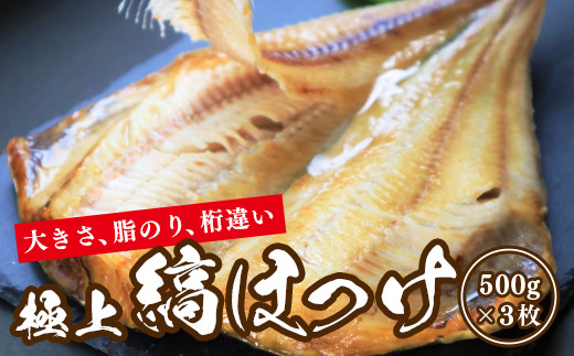 大きさ 脂のり 桁違い 極上縞ほっけ 3枚 248 北海道稚内市 ふるさと納税 ふるさとチョイス