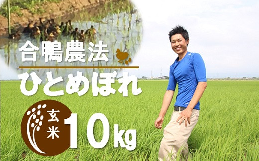 【山形県三川町】【令和3年産・玄米】ecofarmすがわらの合鴨農法ひとめぼれ10kg