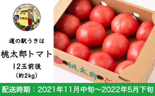 トマト 桃太郎の人気商品 通販 価格比較 価格 Com