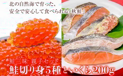 【岩手県矢巾町】鮭三昧 親子セット 鮭切り身5種10パックとイクラ200g