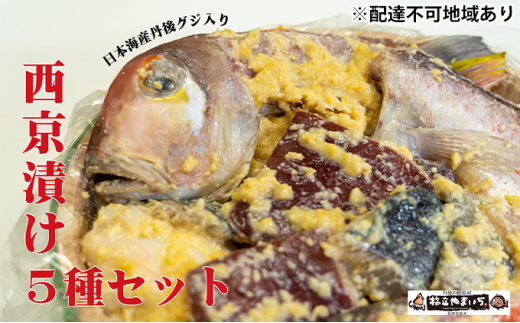 ys{{Îszyӂ邳Ɣ[Łz{CY OOWisuhj萼Ђ 5 L Ћ XЂ ЂÑ T T[ ^CJ [5716-0325]