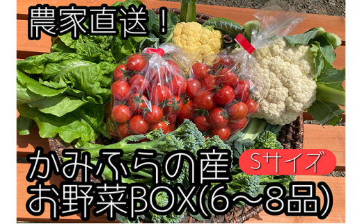 2024年8月上旬頃から発送】農家直送！ミニトマト500g入り！朝