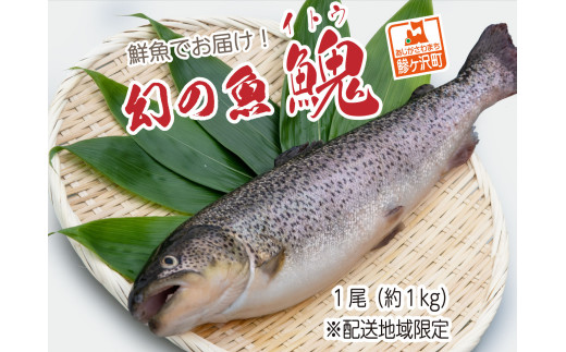 鮮魚でお届け！幻の魚「イトウ」1尾(約1kg) ※配送地域限定