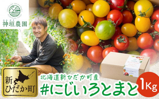 2025年 8月 上旬 より順次発送 > 北海道産 カラフルトマト ミニ 2025年 8月 上旬 より順次発送 > 北海道産 カラフルトマト ミニ