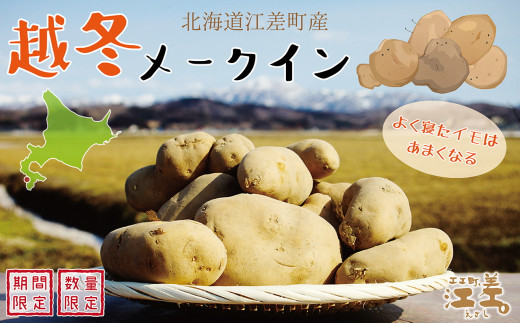 2月出荷 北海道産 越冬メークイン M L混合5kg 低温熟成 北海道江差町 ふるさと納税 ふるさとチョイス