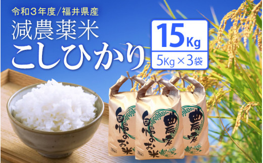 うどん県 男米 超コシヒカリ 食味値89 玄米20kg - arkiva.gov.al