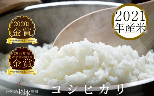 岐阜 - 白米の人気商品・通販・価格比較 - 価格.com