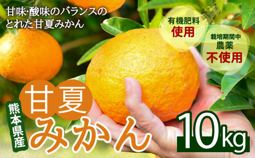 【2022年3月上旬発送予定】甘夏みかん 約10kg 果物 農薬不使用 有機肥料使用