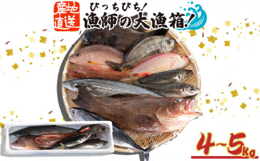 魚 鮮魚 ボックス 4kg～5kg 旬 鮮度 抜群 おまかせ 詰め合わせ 海鮮 魚介 新鮮 高知県 須崎市 MT005 - 高知県須崎市｜ふるさとチョイス  - ふるさと納税サイト