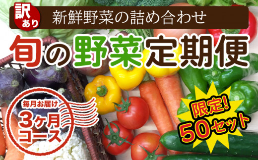 定期便 3回 3か月 訳あり 野菜 詰め合わせ セット 毎月お届け 高知県 須崎市 頒布会 旬の野菜 やさい ベジタブル キット 季節野菜 高知 須崎  国産 人気 半年間 毎月 お届け