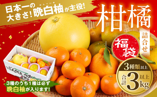 【熊本県八代市】【年内より発送】日本一の大きさ 晩白柚（ばんぺいゆ）が主役の 柑橘 福袋！ 3種3kg以上（みかん、不知火、せとかなど）